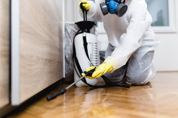 Best Commercial Pest Control Services  in Rochester, WI