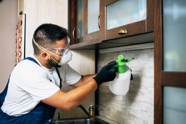 Best Pest Control Near Me  in Rochester, WI
