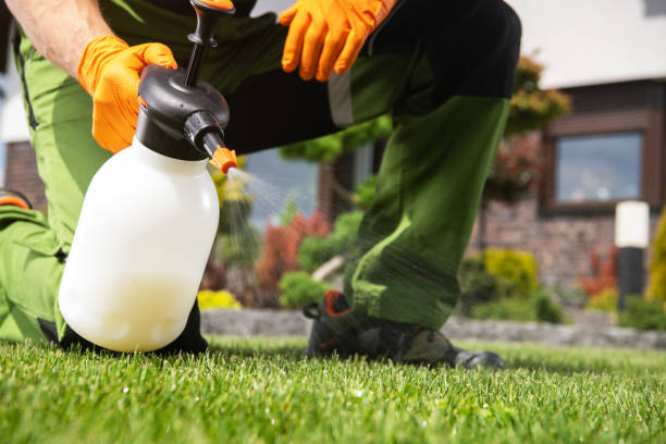 Best Flea Control Services  in Rochester, WI