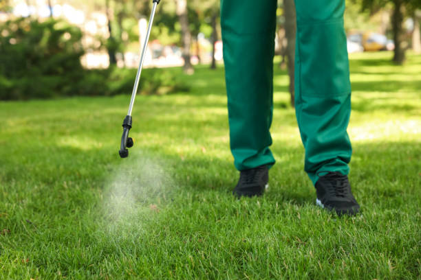 Best Emergency Pest Control  in Rochester, WI