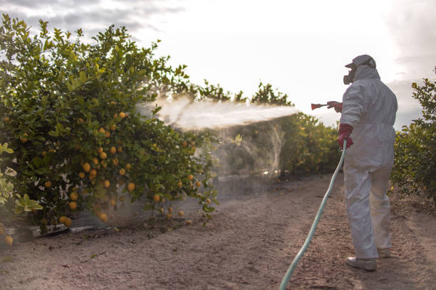 Flea Control Services in Rochester, WI