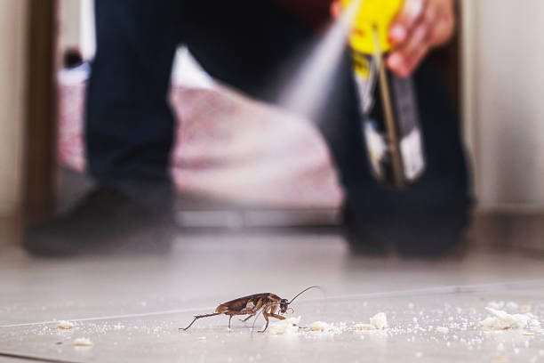 Best Best Pest Control Companies  in Rochester, WI