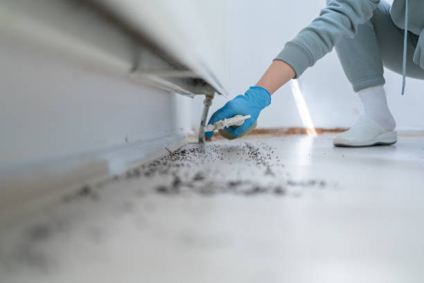 Best Pest Prevention Services  in Rochester, WI