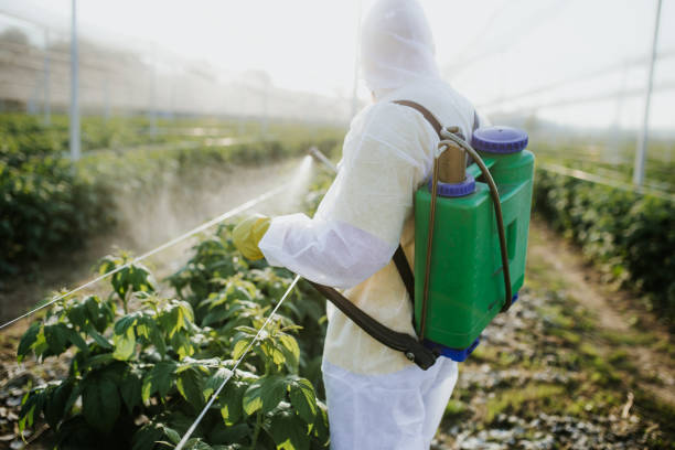 Best Pest Removal Services  in Rochester, WI